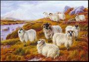 unknow artist Sheep 063 painting